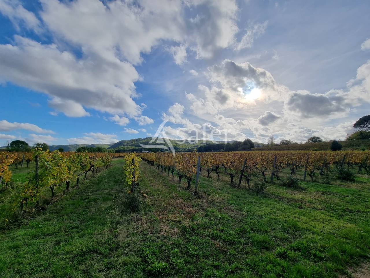 Explotaci&oacute;n agr&iacute;cola En venta Lot