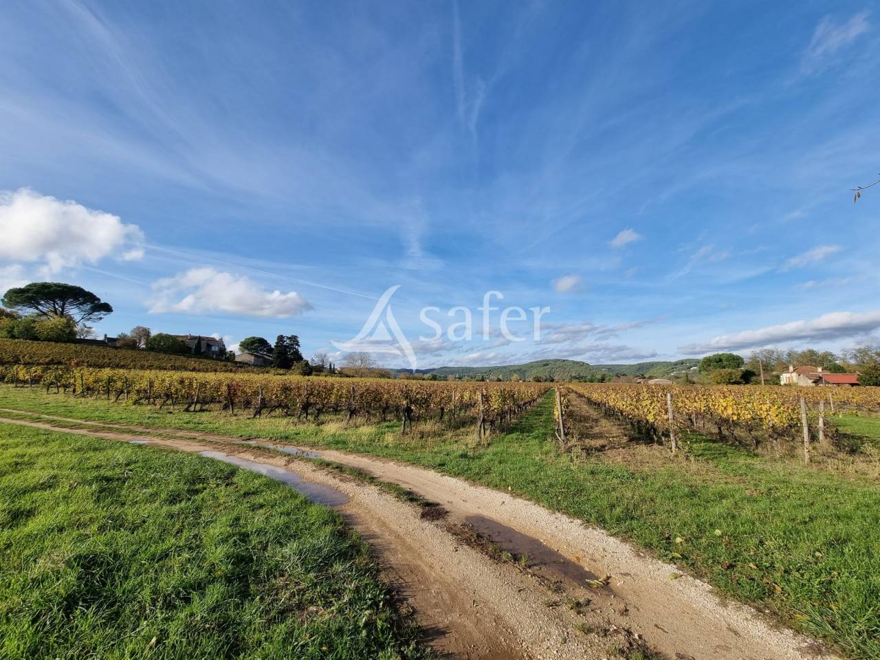 Explotaci&oacute;n agr&iacute;cola En venta Lot