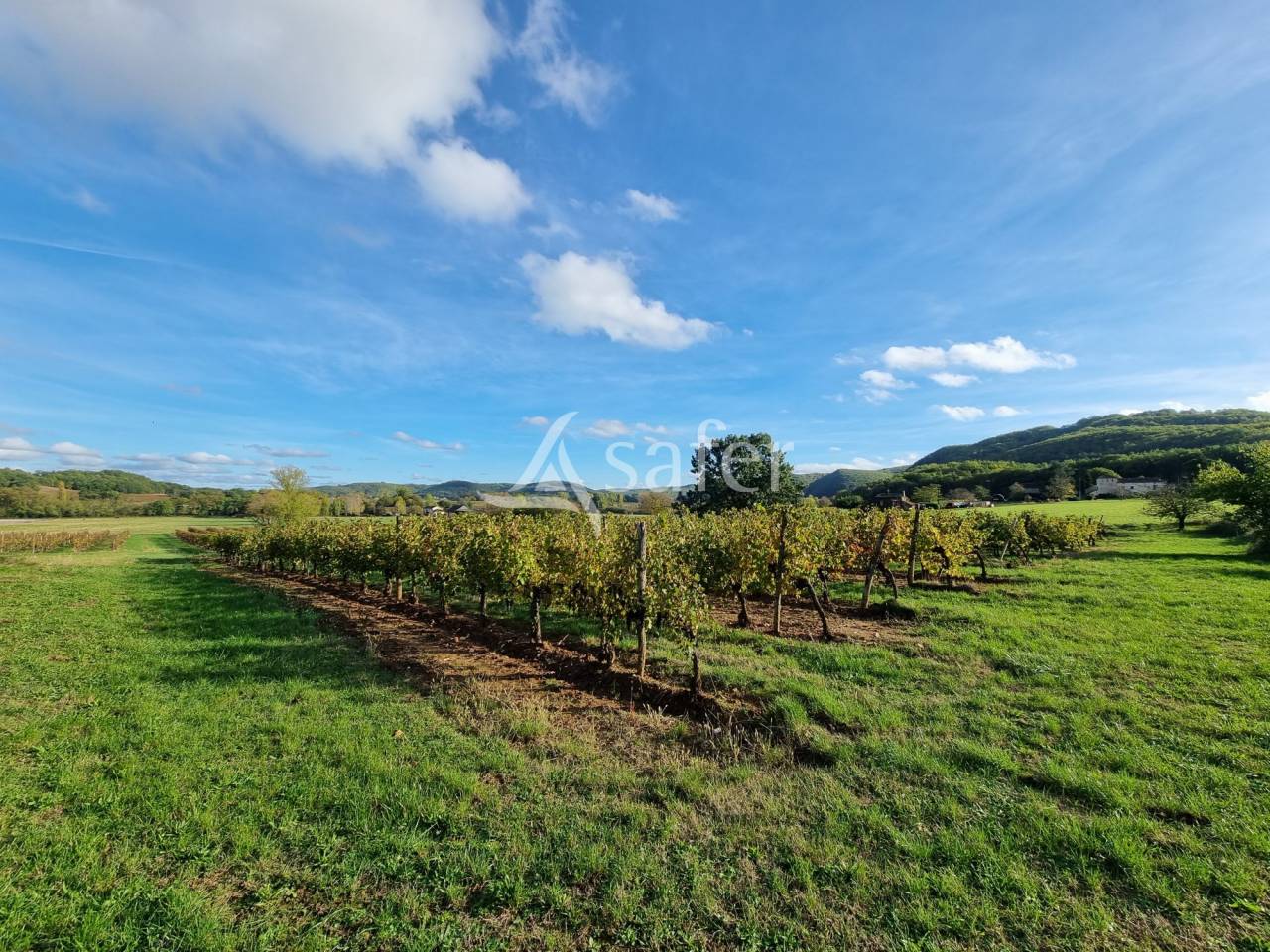 Explotaci&oacute;n agr&iacute;cola En venta Lot