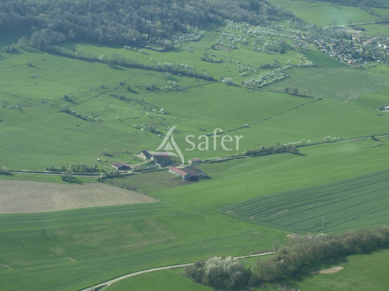 Explotaci&oacute;n agr&iacute;cola En venta Alto Saona