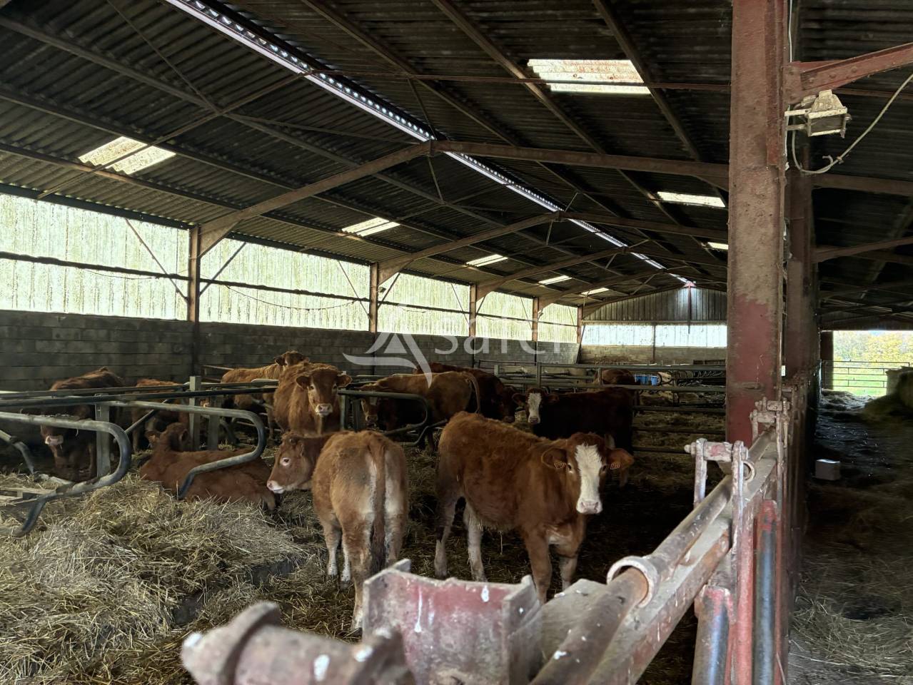 Explotaci&oacute;n agr&iacute;cola En venta Alto Saona