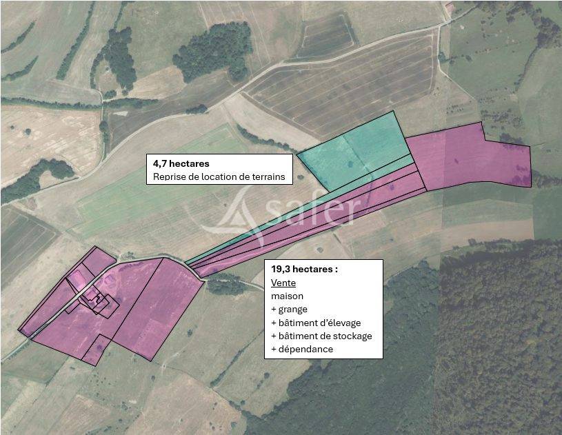 Explotaci&oacute;n agr&iacute;cola En venta Alto Saona
