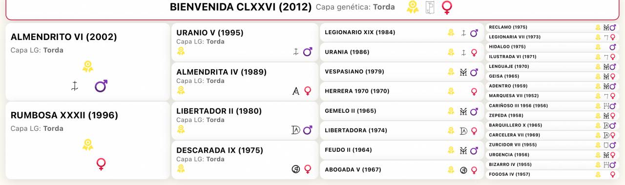 Potro de 7 meses PRE falso bayo