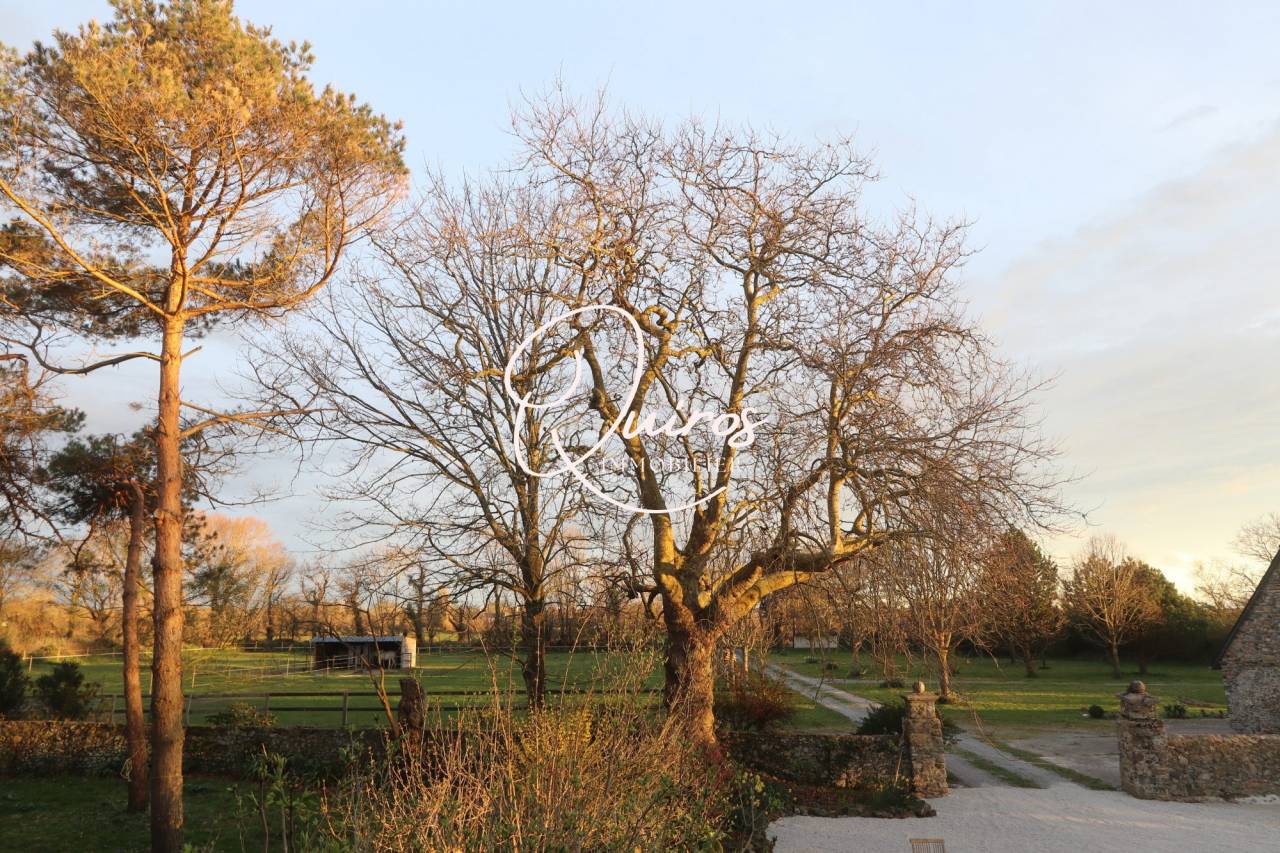 Propiedad ecuestre En venta Mancha