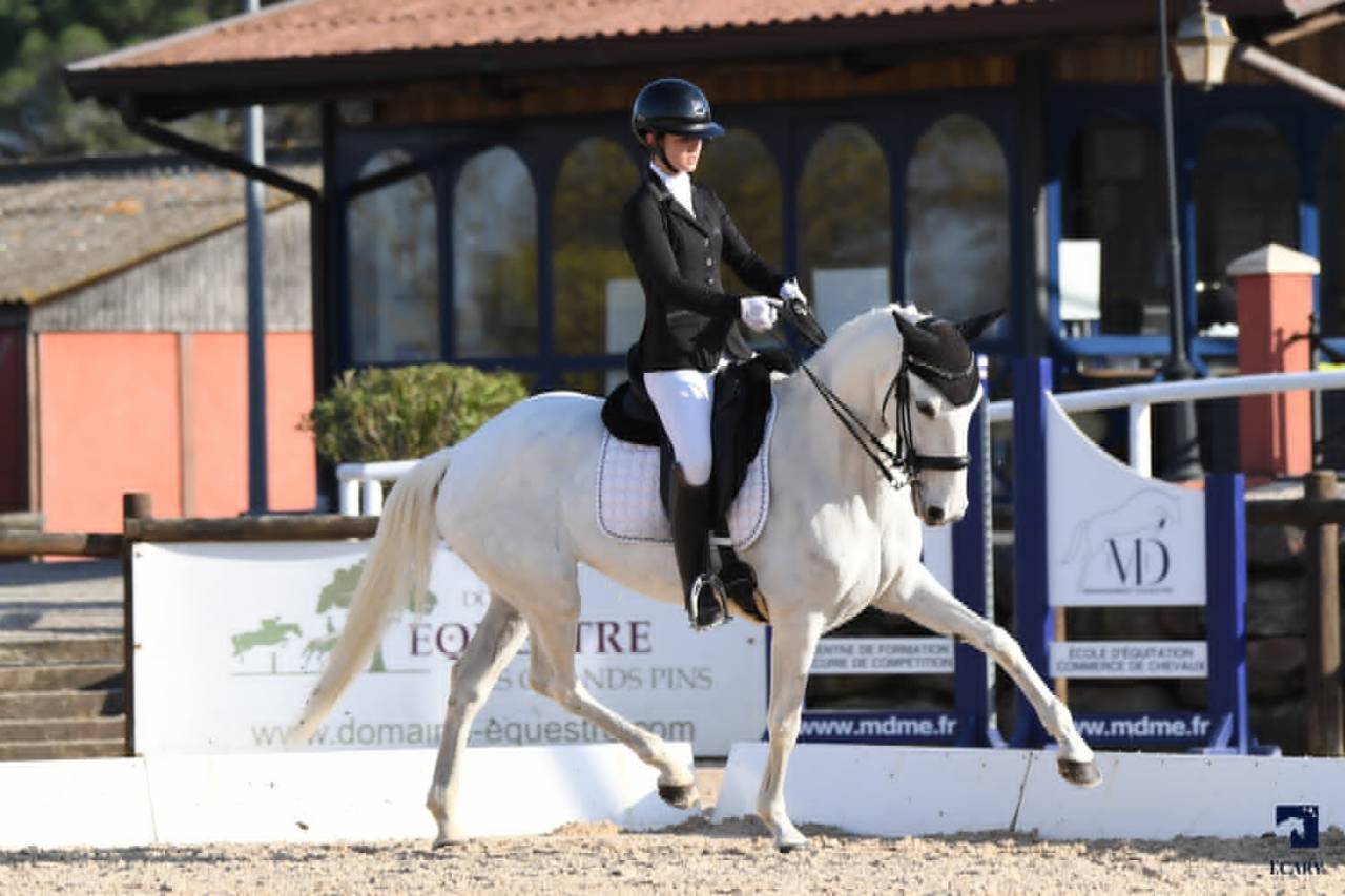 Yegua Lusitano En venta 2014 Blanco