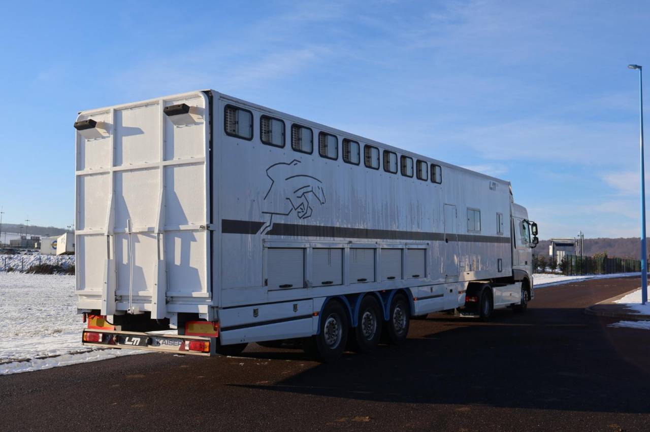 Cami&oacute;n para caballos Daf SEMI-REMORQUE 10P-APPARTEMENT 4P 2017 De segunda mano