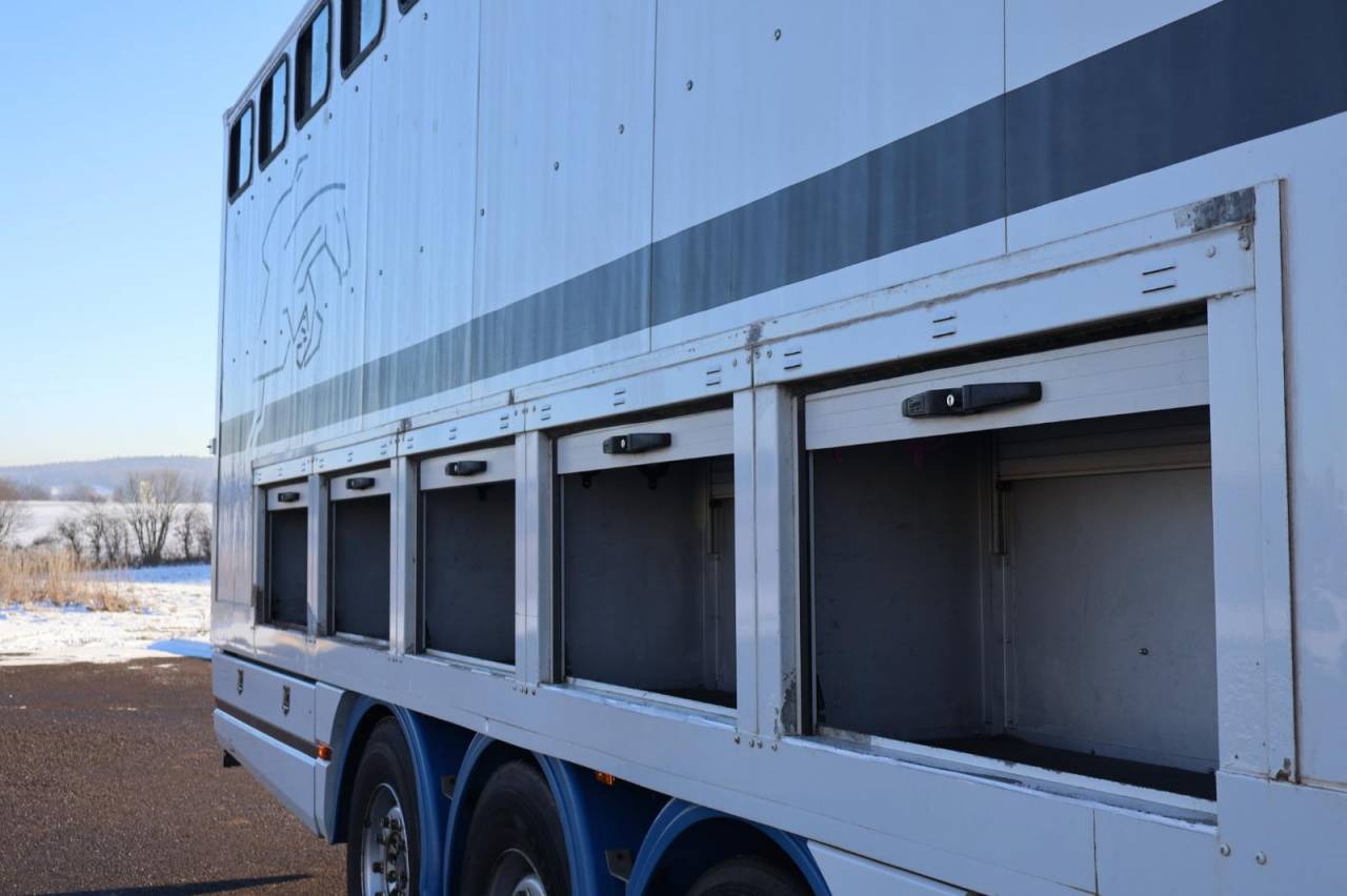 Cami&oacute;n para caballos Daf SEMI-REMORQUE 10P-APPARTEMENT 4P 2017 De segunda mano