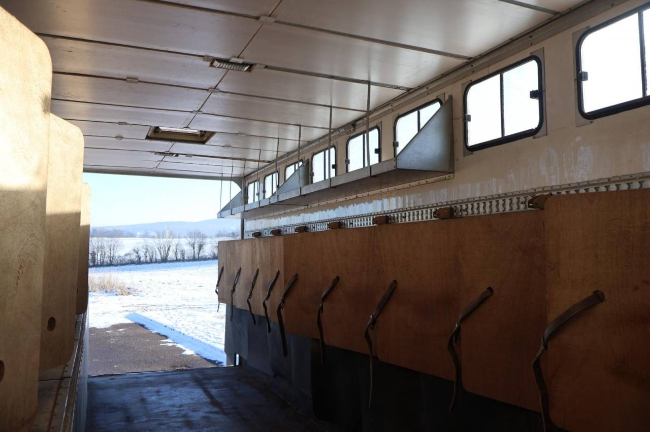 Cami&oacute;n para caballos Daf SEMI-REMORQUE 10P-APPARTEMENT 4P 2017 De segunda mano