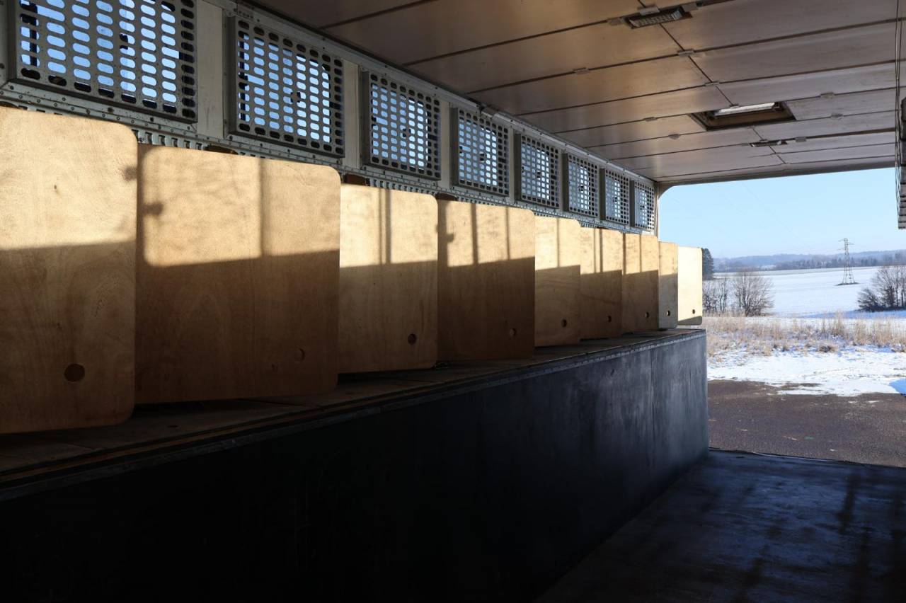 Cami&oacute;n para caballos Daf SEMI-REMORQUE 10P-APPARTEMENT 4P 2017 De segunda mano