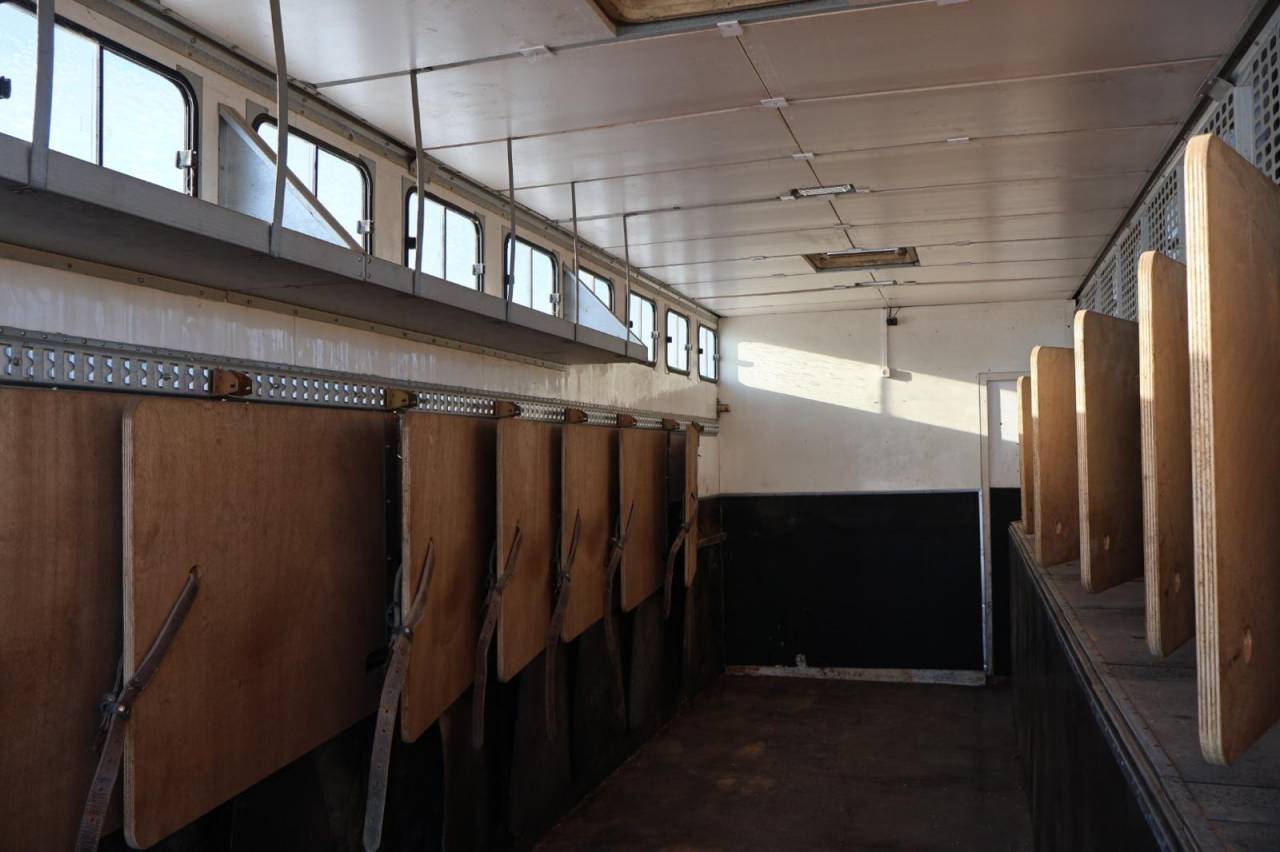 Cami&oacute;n para caballos Daf SEMI-REMORQUE 10P-APPARTEMENT 4P 2017 De segunda mano