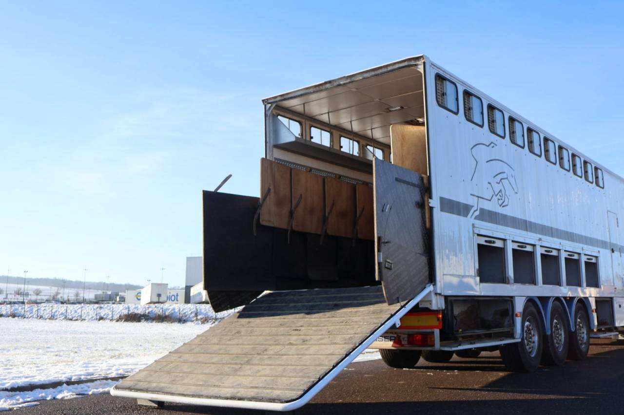 Cami&oacute;n para caballos Daf SEMI-REMORQUE 10P-APPARTEMENT 4P 2017 De segunda mano