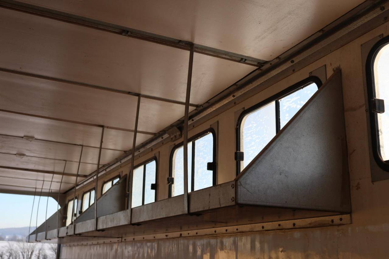 Cami&oacute;n para caballos Daf SEMI-REMORQUE 10P-APPARTEMENT 4P 2017 De segunda mano