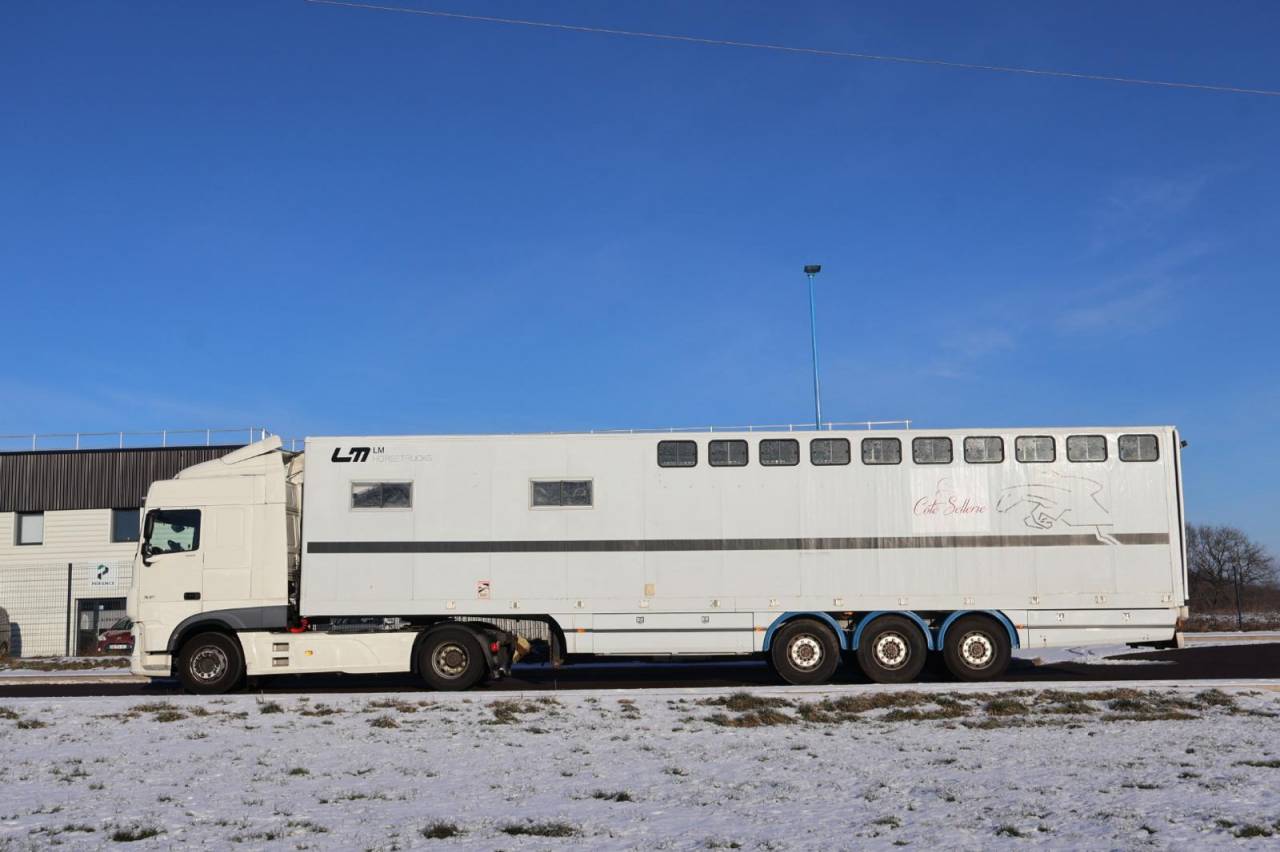 Cami&oacute;n para caballos Daf SEMI-REMORQUE 10P-APPARTEMENT 4P 2017 De segunda mano