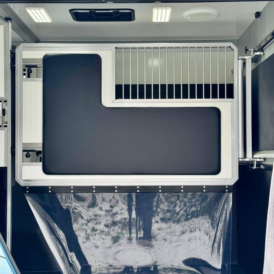 Furgoneta para caballos AKX CONCEPTPGO 5  2026 Nuevo