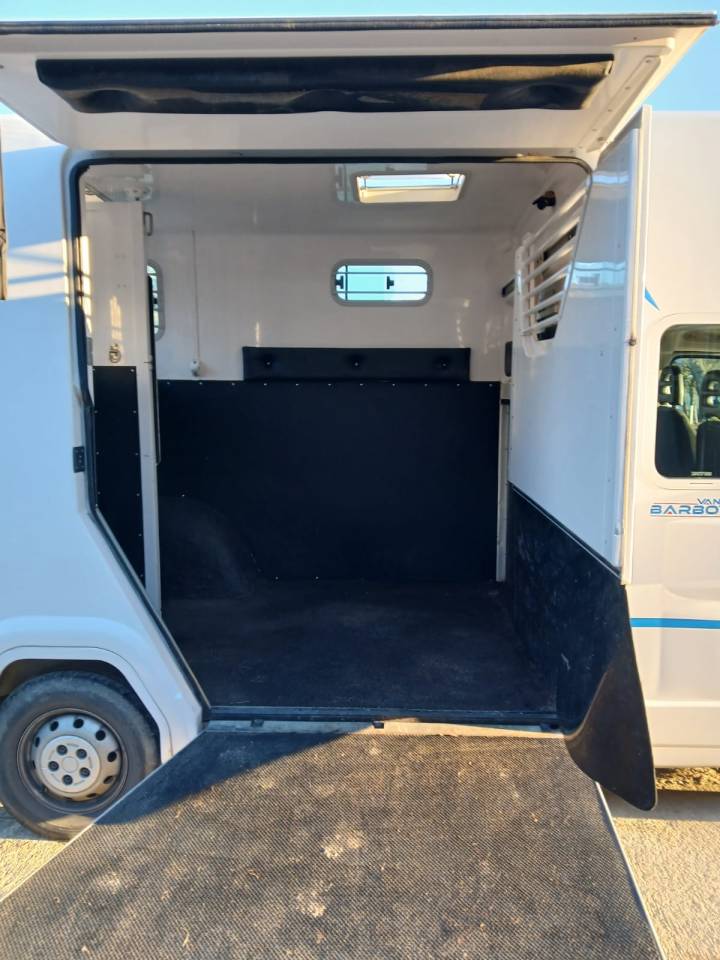 Furgoneta para caballos Fiat  Fiat Ducato 2019 De segunda mano