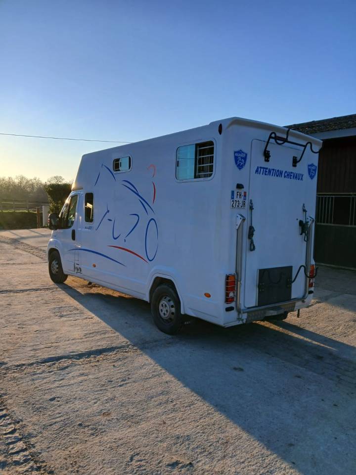 Furgoneta para caballos Fiat  Fiat Ducato 2019 De segunda mano