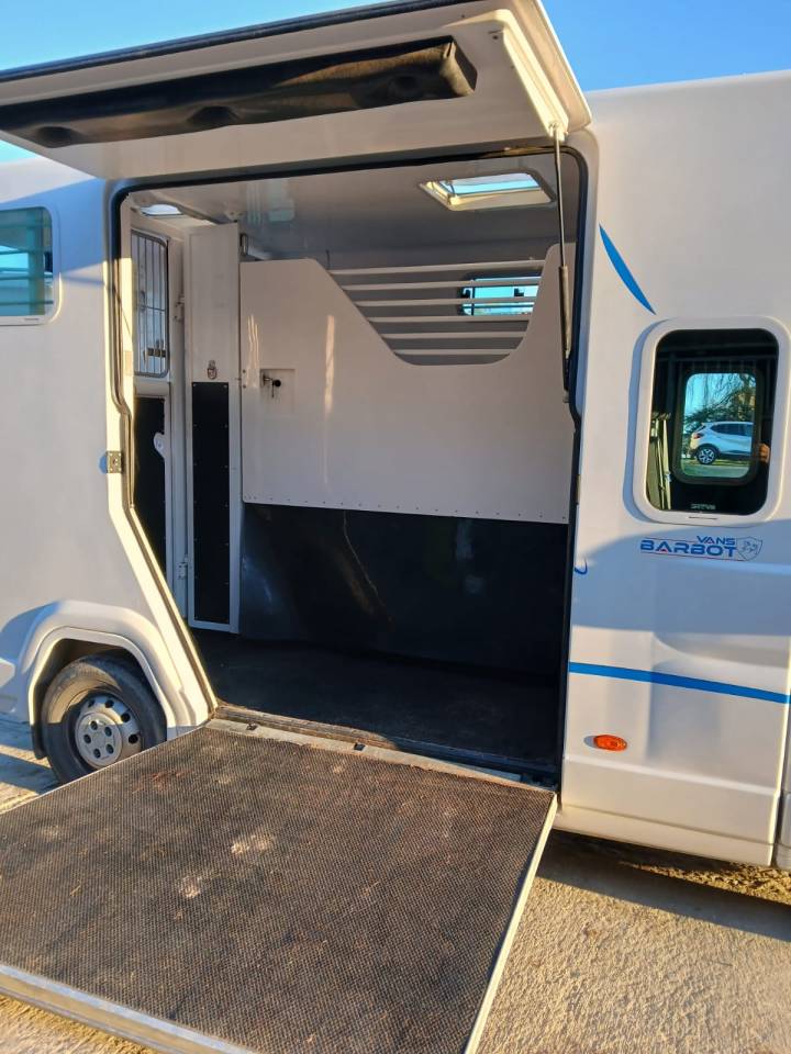 Furgoneta para caballos Fiat  Fiat Ducato 2019 De segunda mano