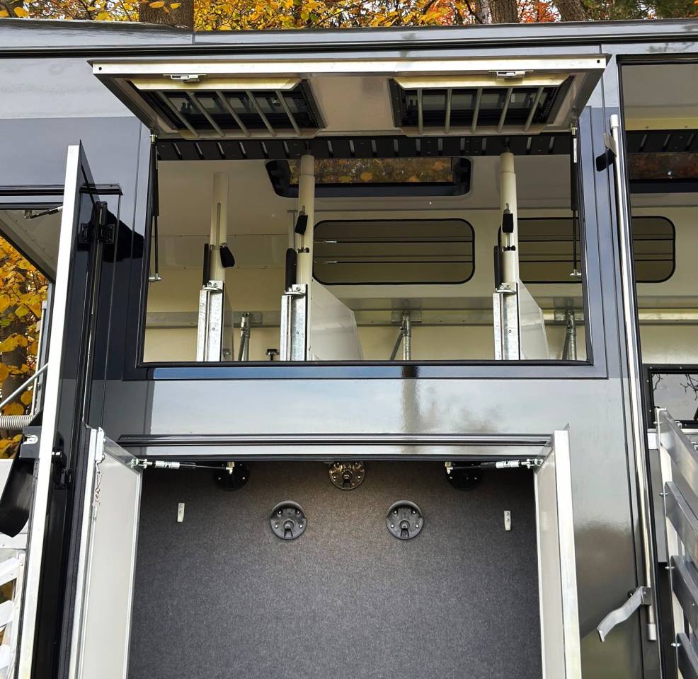 Cami&oacute;n para caballos Man MAN 0 Nuevo