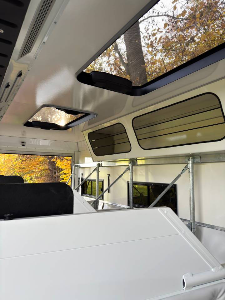 Cami&oacute;n para caballos Man MAN 0 Nuevo