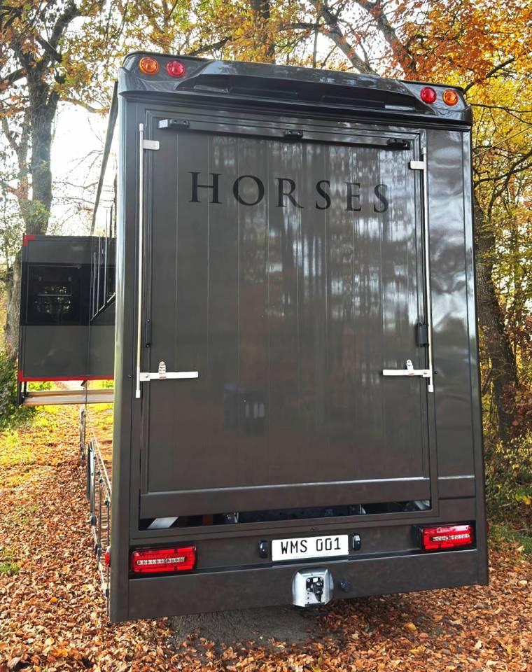 Cami&oacute;n para caballos Man MAN 0 Nuevo