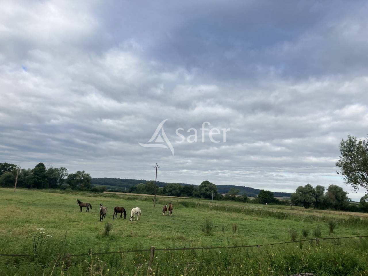 Propiedad ecuestre En venta Alto Saona