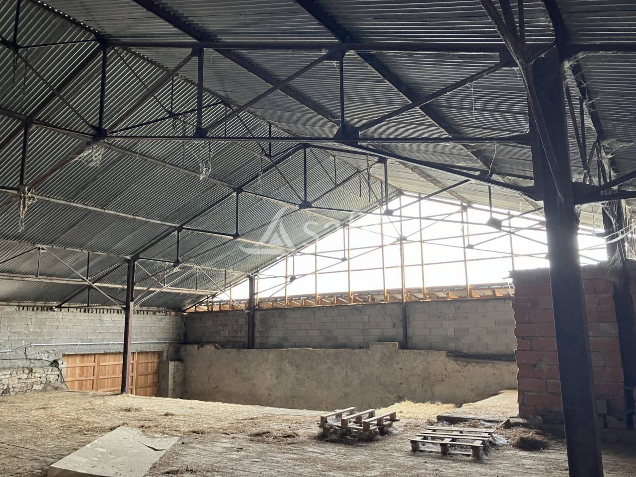 Propiedad ecuestre En venta Alto Saona