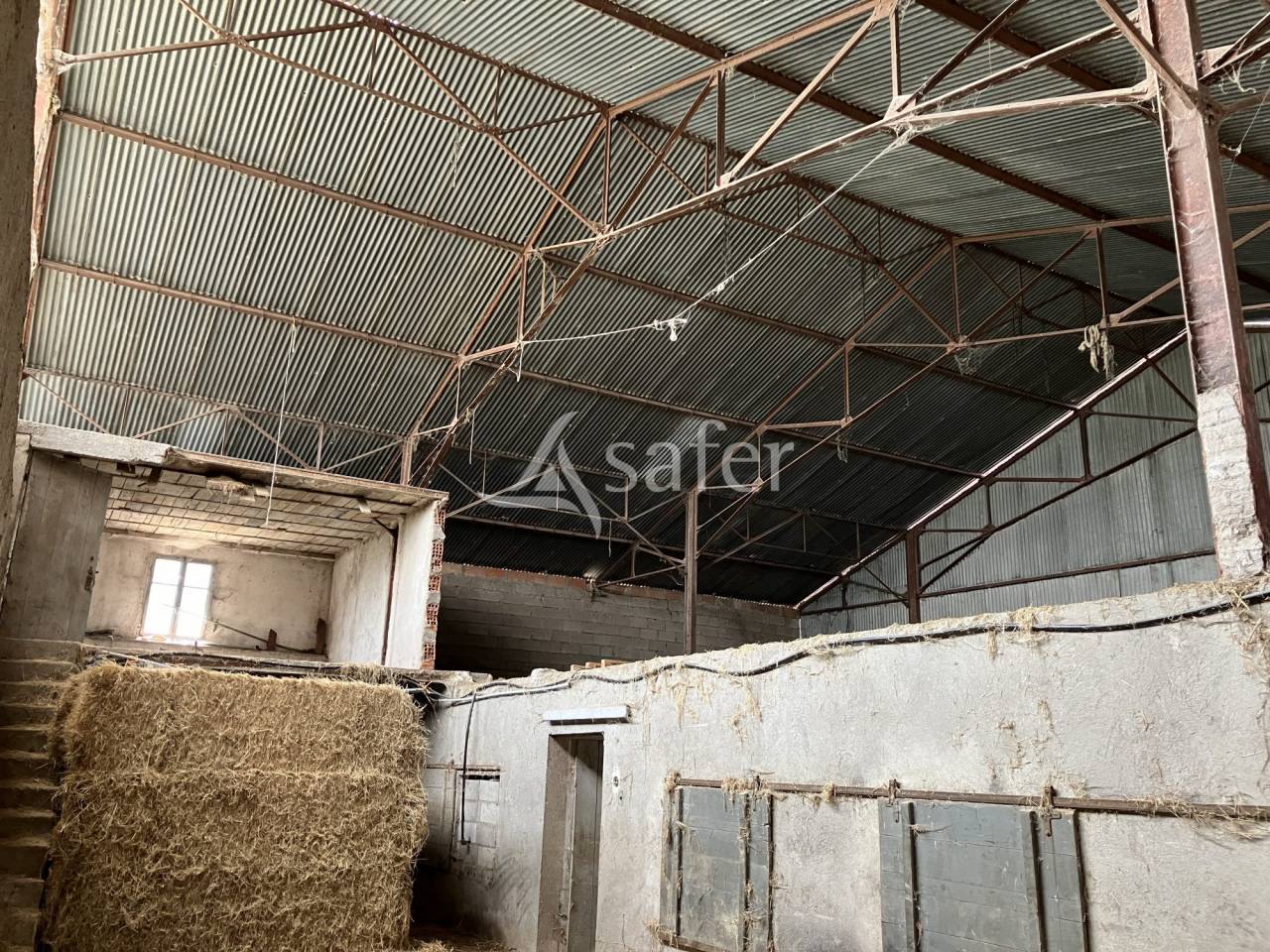 Propiedad ecuestre En venta Alto Saona