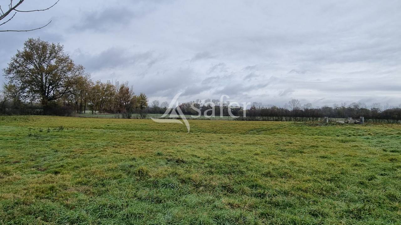 Propiedad rural En venta Tarn