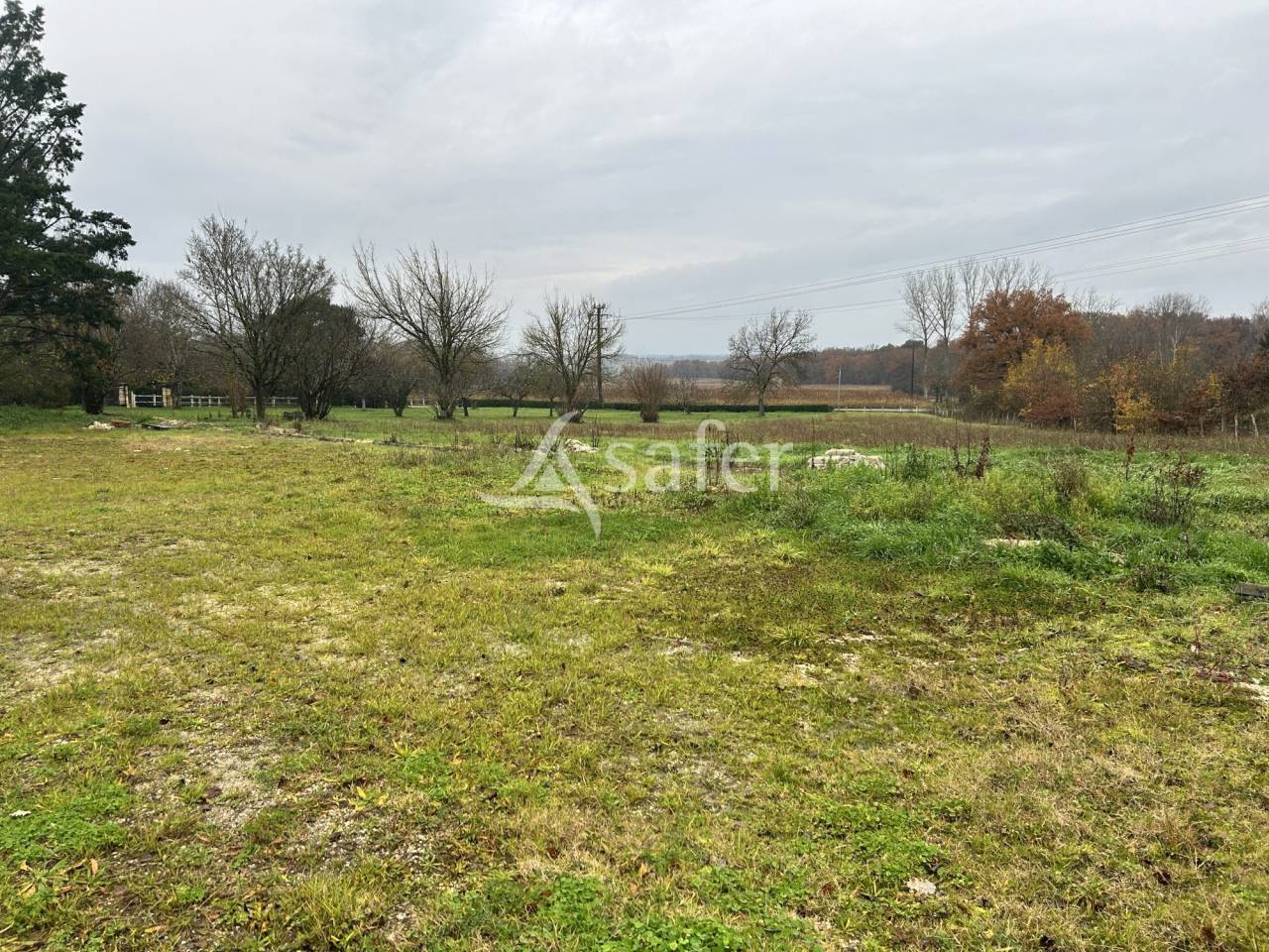 Explotaci&oacute;n hortensa En venta Lot y Garona