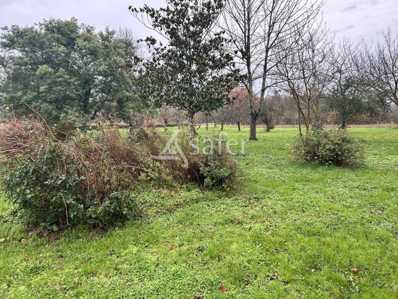 Explotaci&oacute;n hortensa En venta Lot y Garona