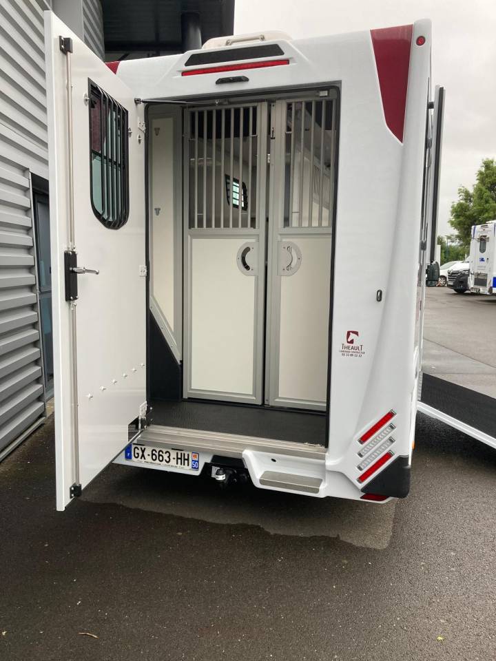 Furgoneta para caballos Renault CAMION THEAULT 2024 De segunda mano