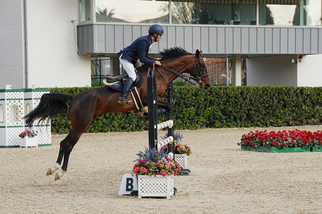 CABALLO SALTO  -- Shabrang ATT --