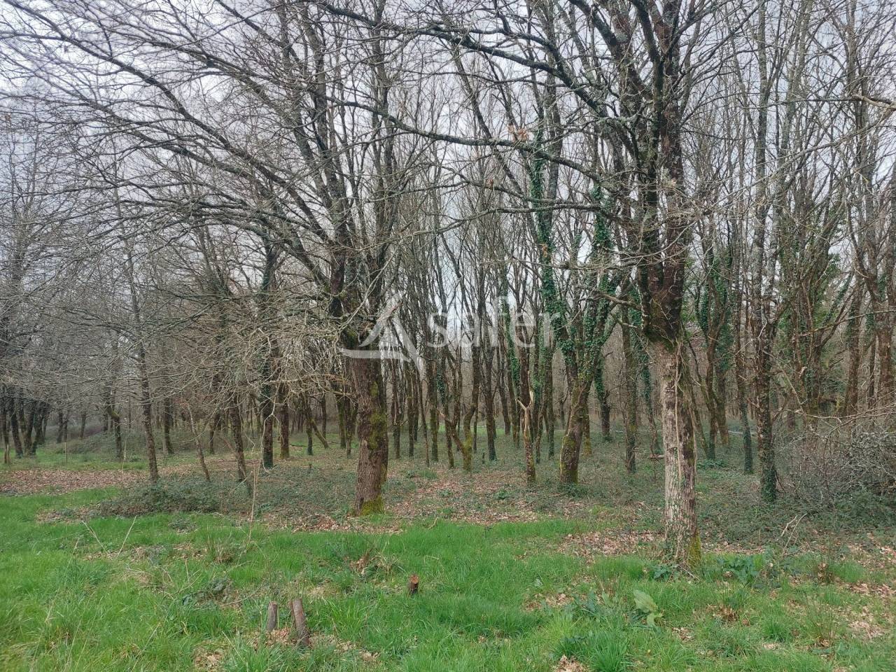 Explotaci&oacute;n ovina En venta Dordo&ntilde;a