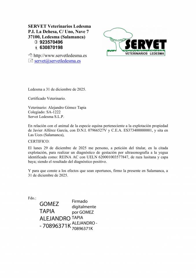 Se vende yegua PSL baya