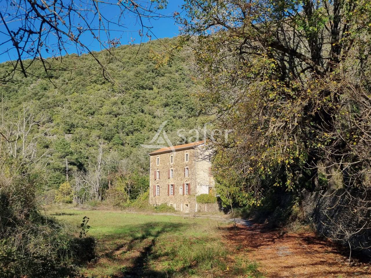 Explotaci&oacute;n forestal En venta Gard