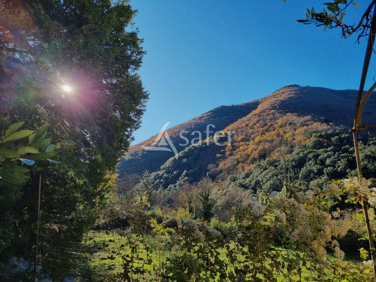 Explotaci&oacute;n forestal En venta Gard