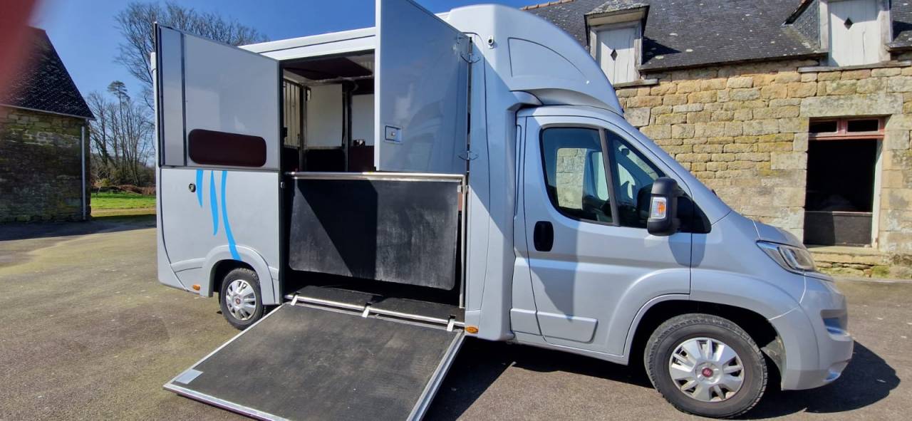 Furgoneta para caballos Fiat  Ducato 2018 De segunda mano