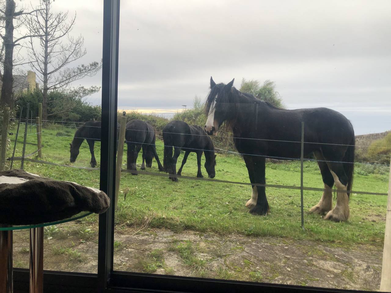 Propiedad ecuestre En venta Finisterre