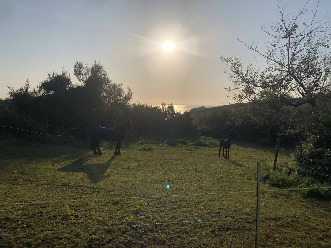 Propiedad ecuestre En venta Finisterre