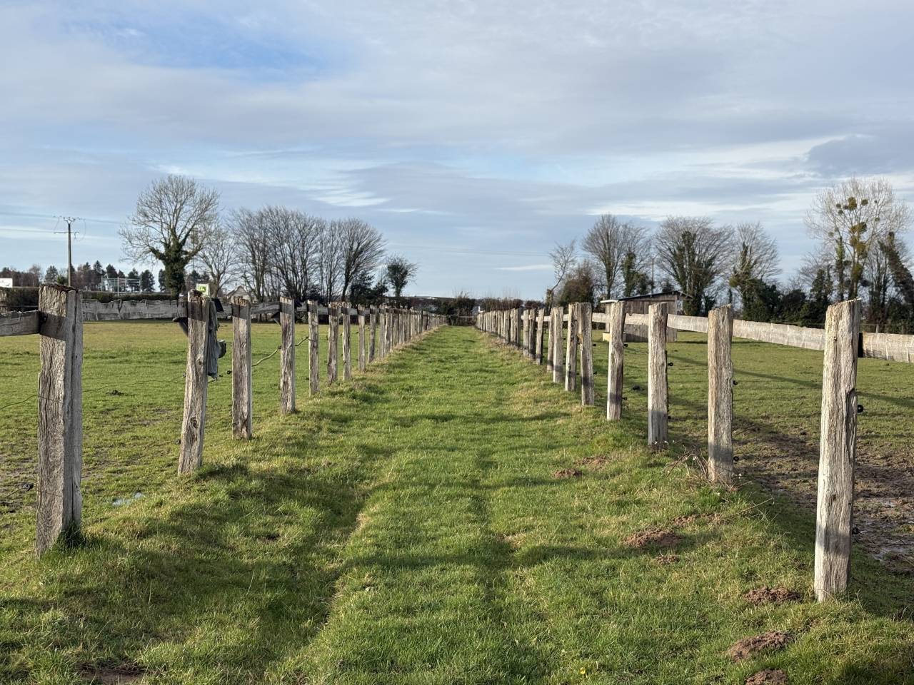 Acaballadero En venta Calvados