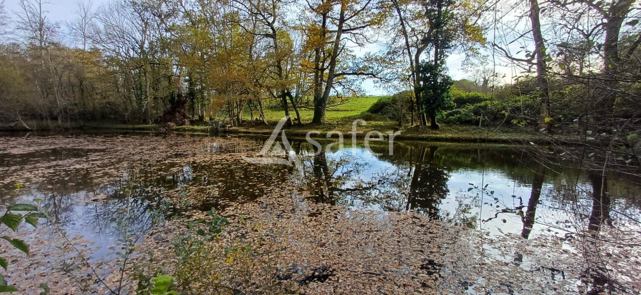 Explotaci&oacute;n agr&iacute;cola En venta Dordo&ntilde;a