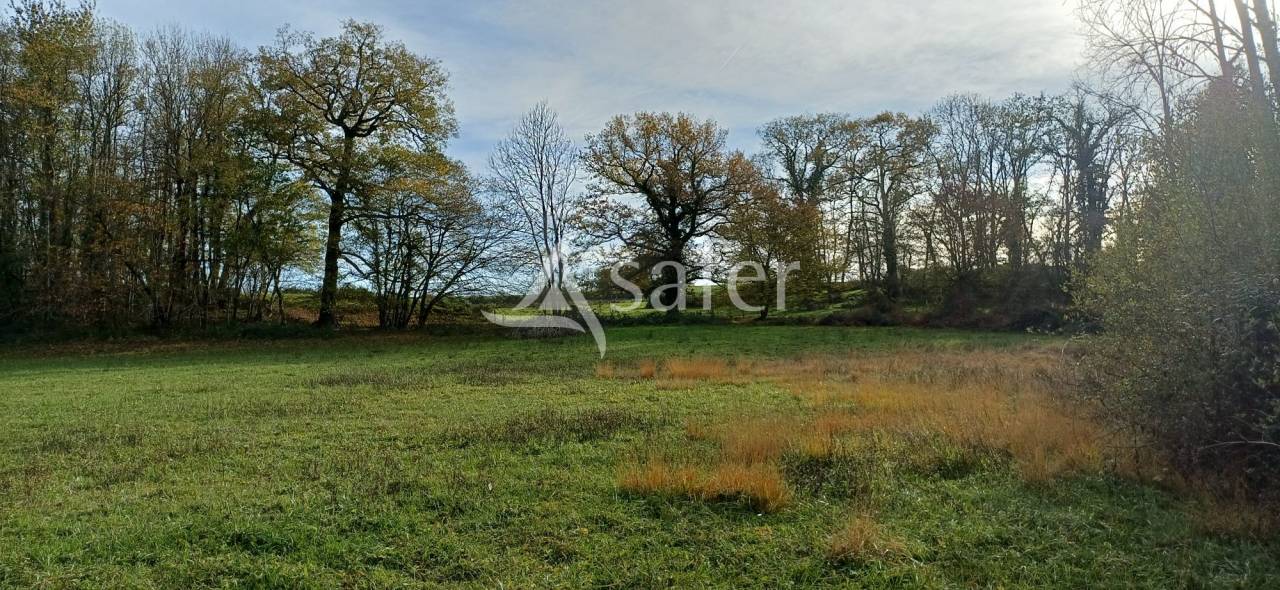 Explotaci&oacute;n agr&iacute;cola En venta Dordo&ntilde;a