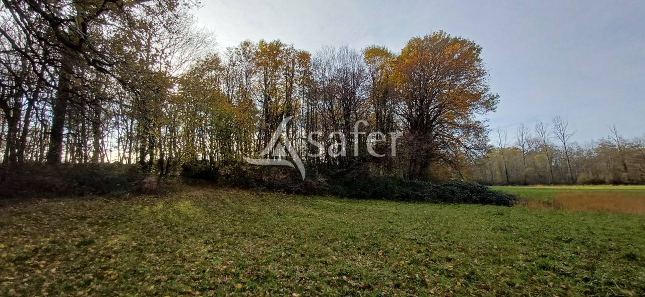 Explotaci&oacute;n agr&iacute;cola En venta Dordo&ntilde;a