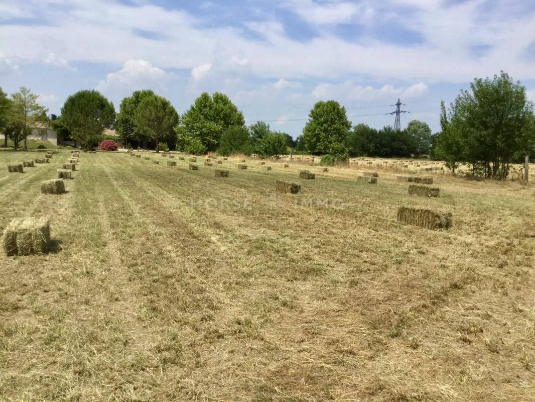 Propiedad ecuestre En venta Gard