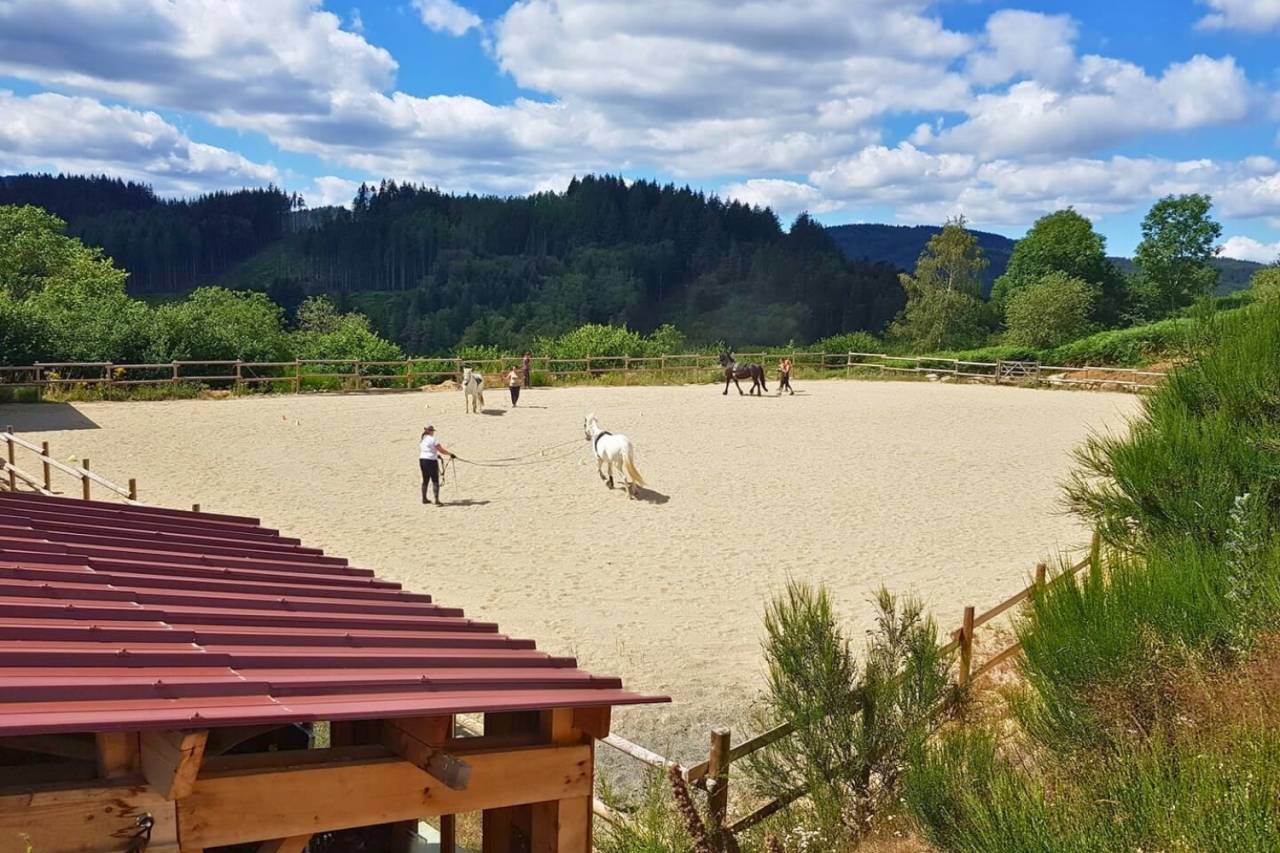 Propiedad ecuestre En venta Puy-de-D&ocirc;me