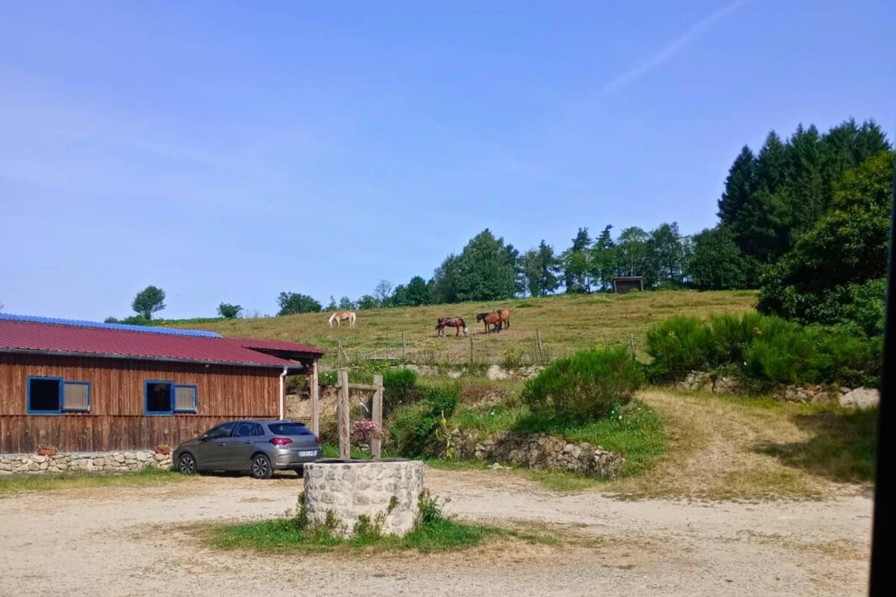 Propiedad ecuestre En venta Puy-de-D&ocirc;me