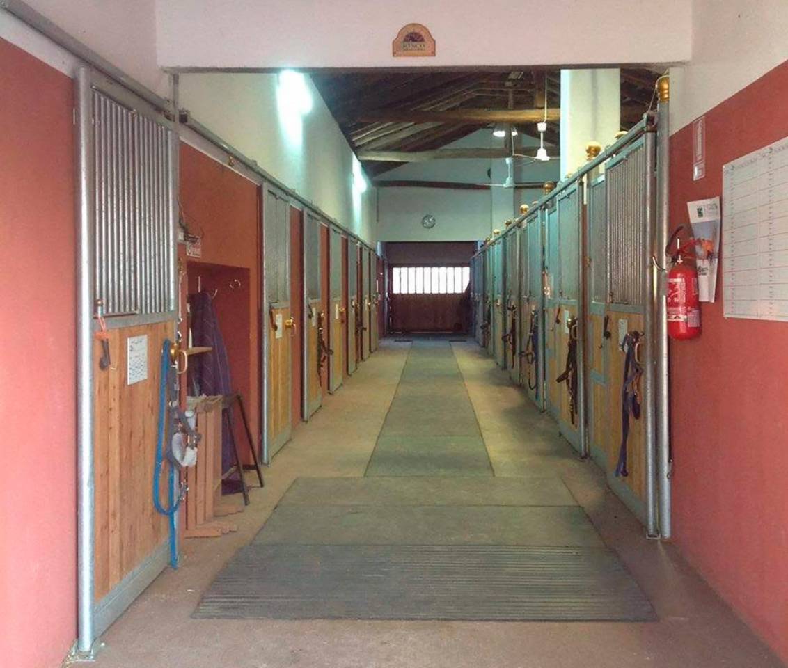 Propiedad ecuestre En venta Tur&iacute;n