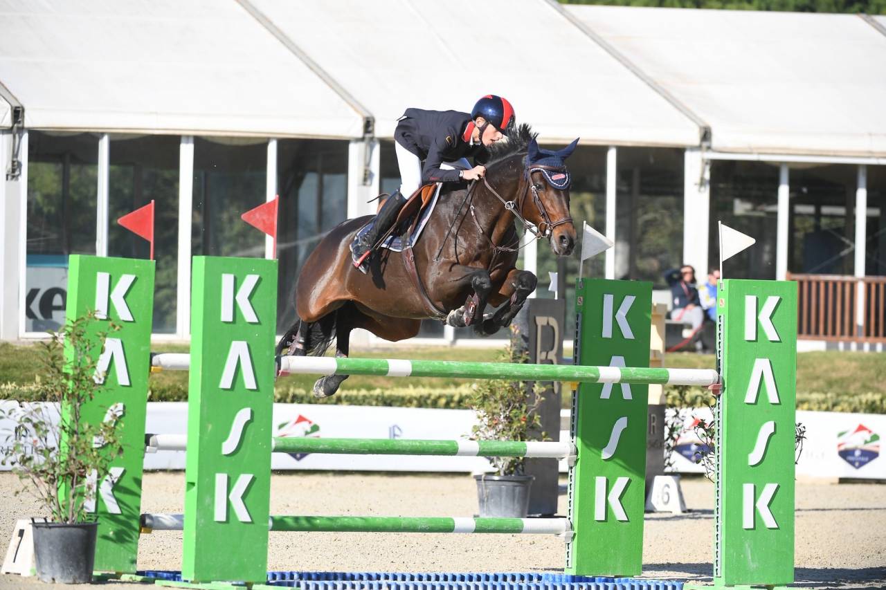 Yegua Holsteiner En venta 2011 Bayo