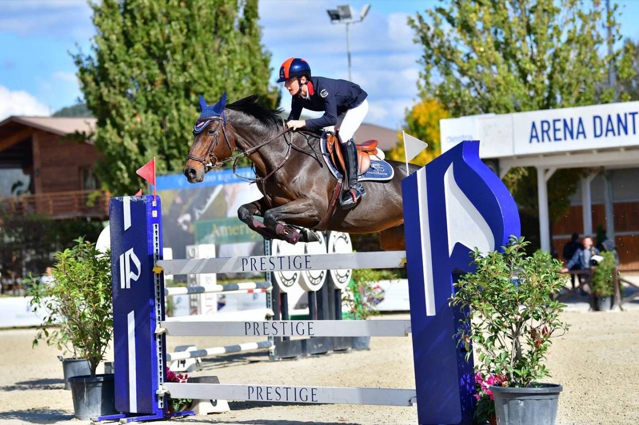 Yegua Holsteiner En venta 2011 Bayo