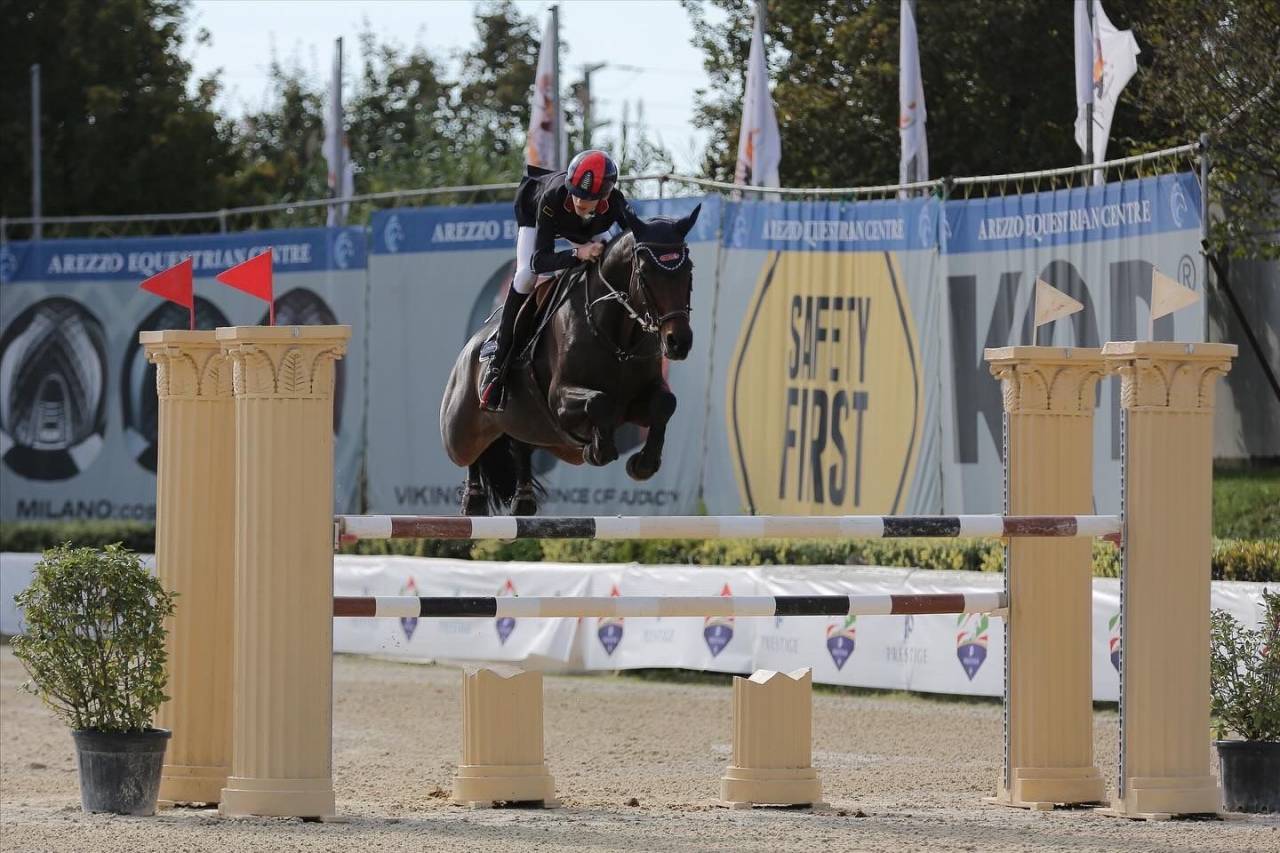 Yegua Holsteiner En venta 2011 Bayo